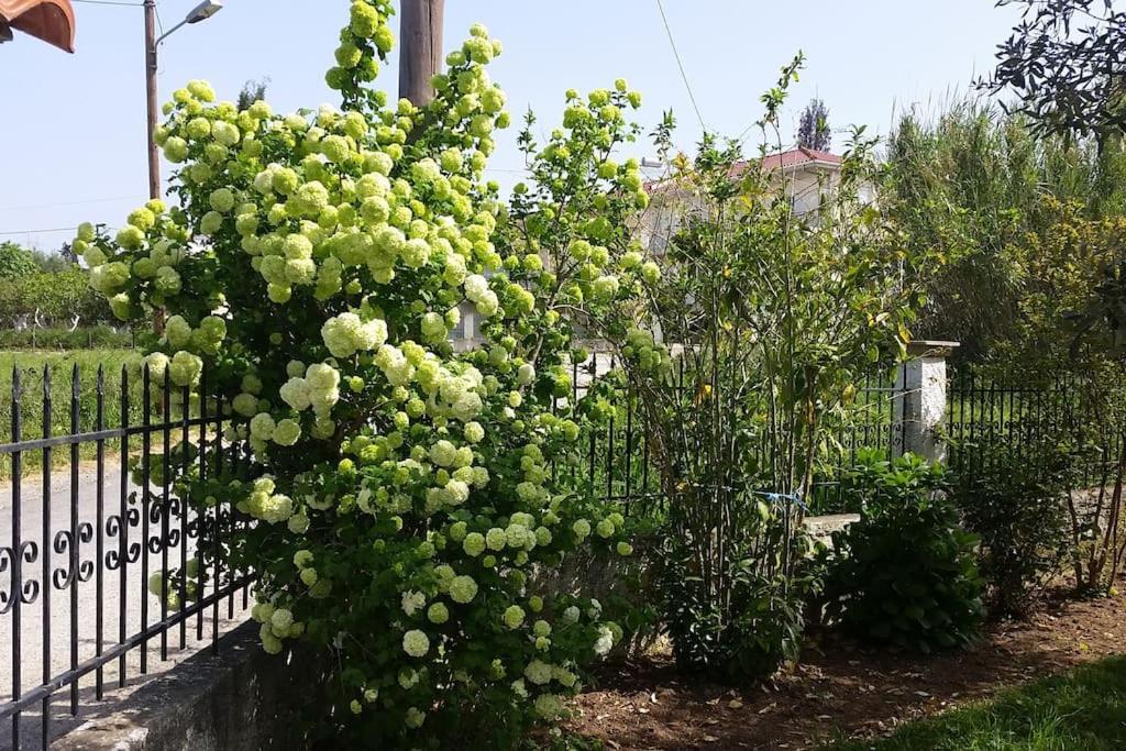 New Village Studios, Preveza A3 المظهر الخارجي الصورة